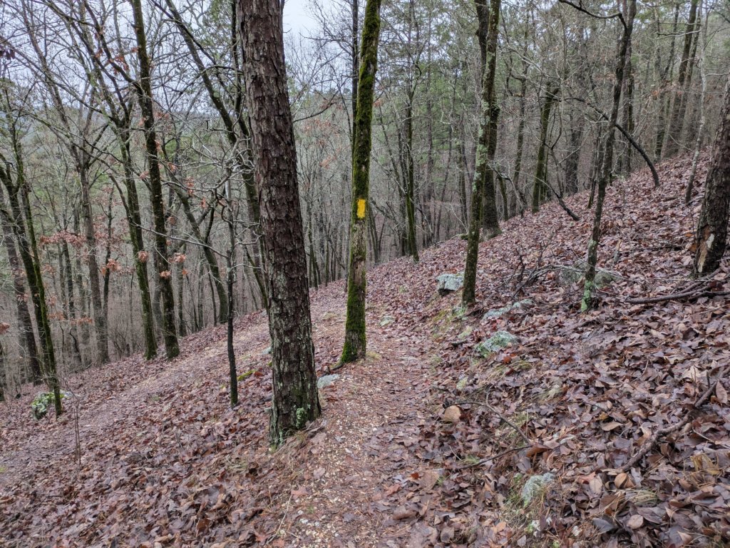 pxl_20241227_170143538.jpg