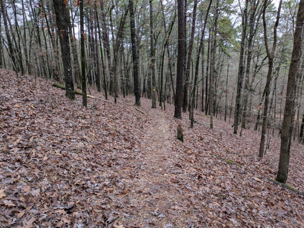 pxl_20241227_170233271.jpg
