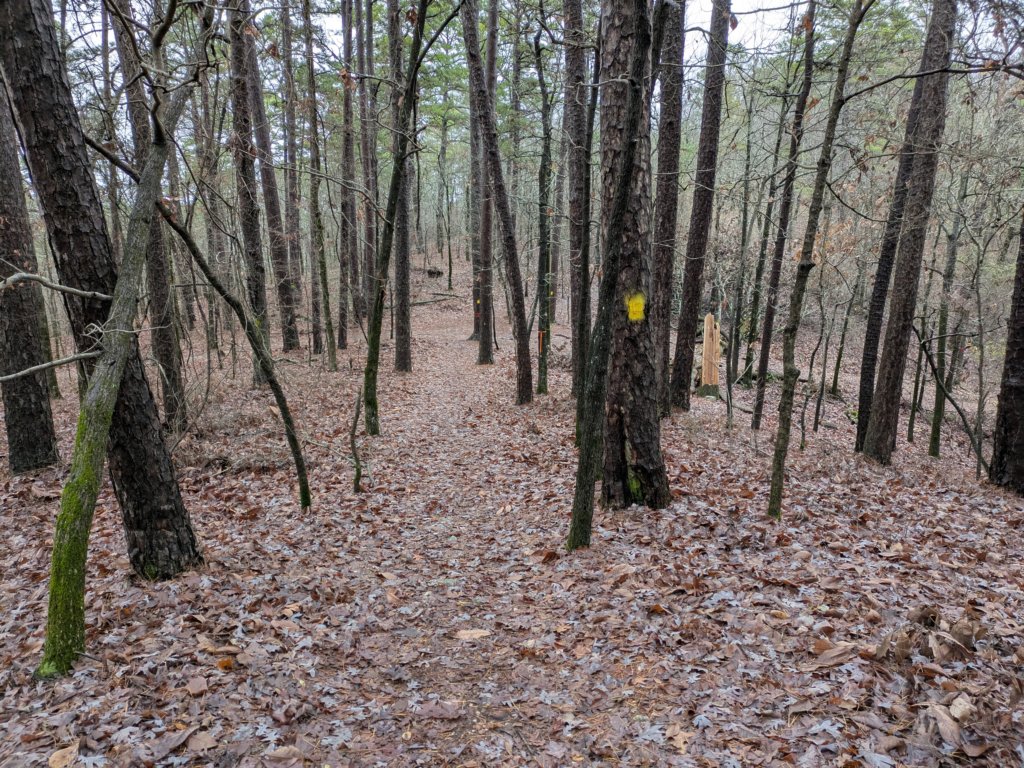 pxl_20241227_170344403.jpg
