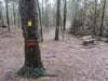 pxl_20241227_170412015_small.jpg