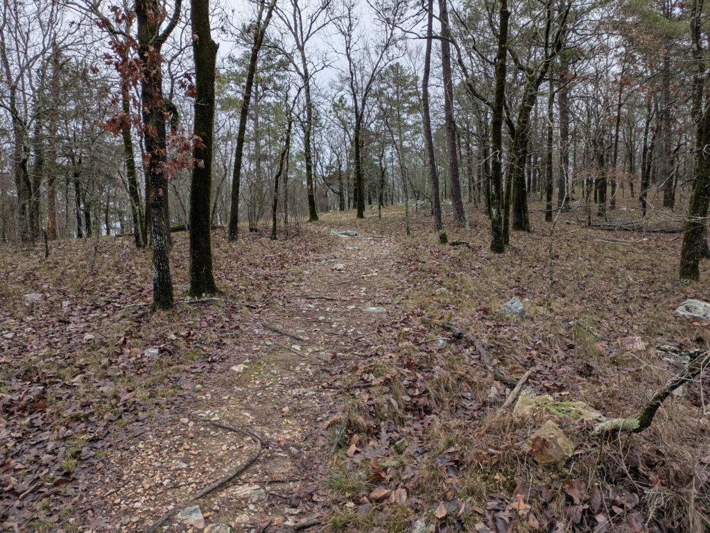 pxl_20241227_171712982.jpg