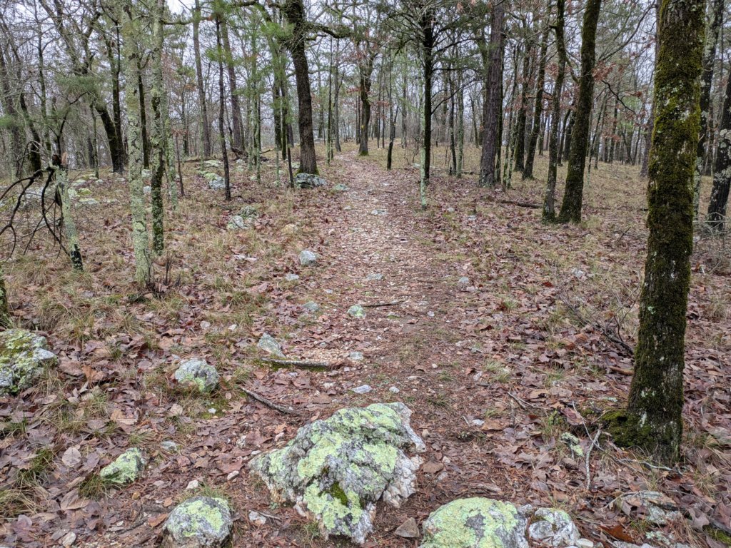 pxl_20241227_171757072.jpg
