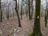 pxl_20241227_172032445_small.jpg