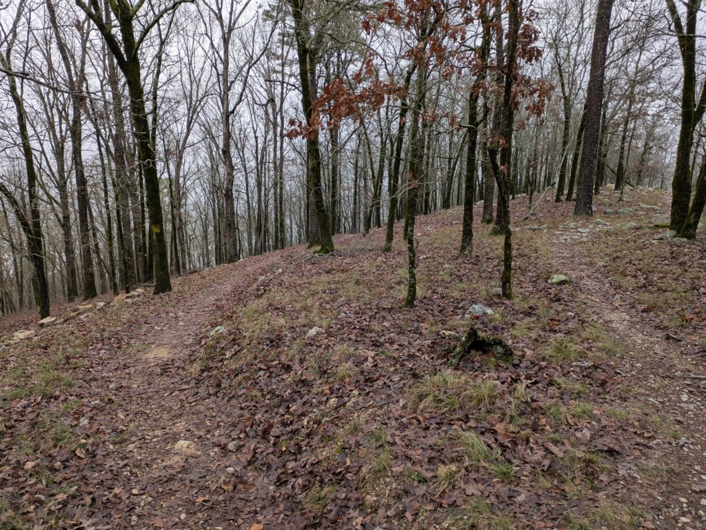 pxl_20241227_172056823.jpg