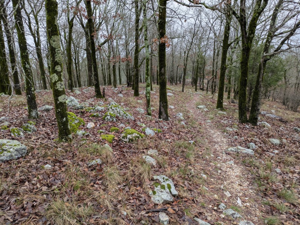 pxl_20241227_172220690.jpg