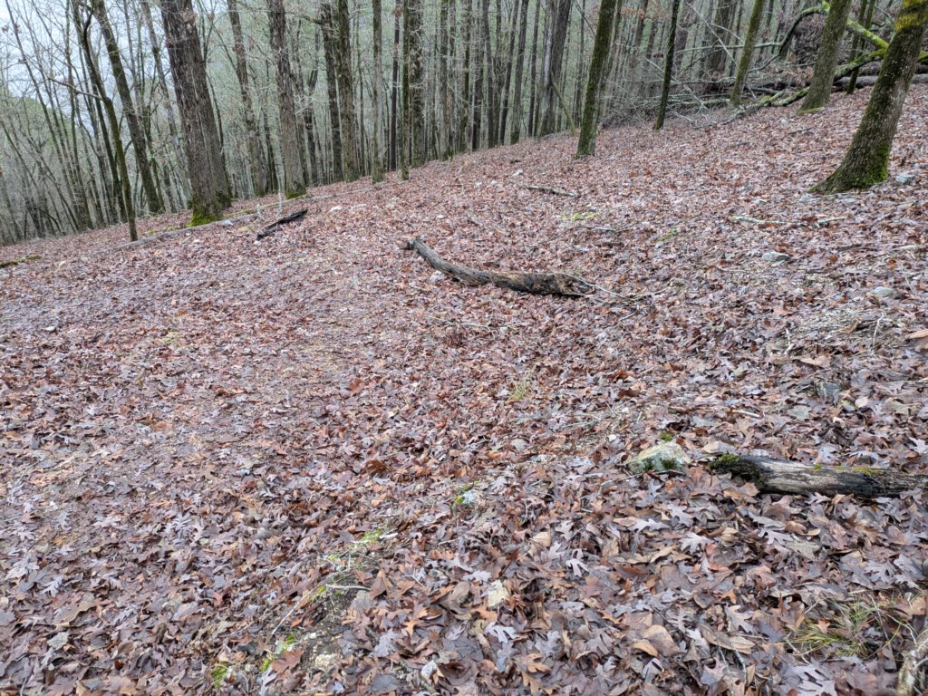 pxl_20241227_172324129.jpg