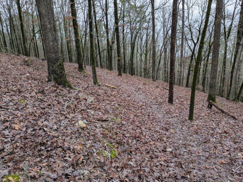pxl_20241227_172344186.jpg