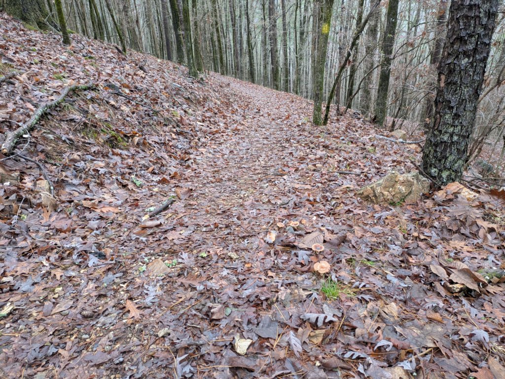 pxl_20241227_172549040.jpg
