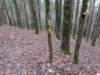 pxl_20241227_172701583_small.jpg