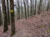 pxl_20241227_172824974_small.jpg