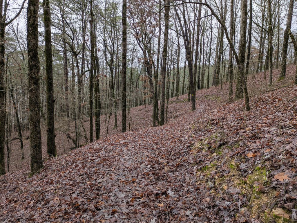 pxl_20241227_172917876.jpg
