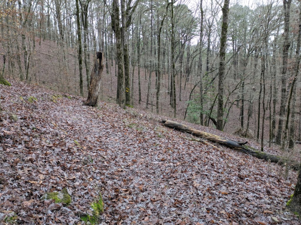 pxl_20241227_173348044.jpg