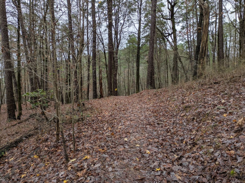 pxl_20241227_173446490.jpg