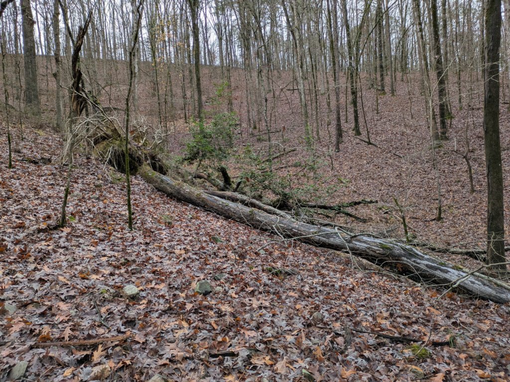pxl_20241227_173654135.jpg
