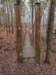 pxl_20241227_173934427_small.jpg
