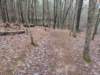 pxl_20241227_174050349_small.jpg