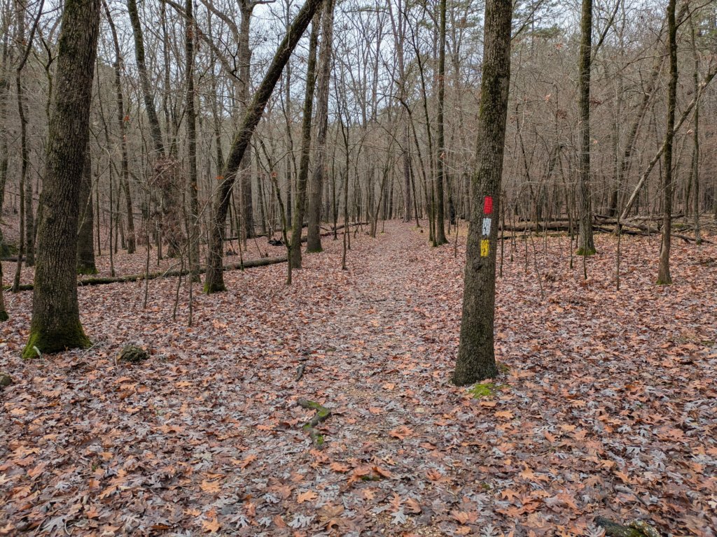 pxl_20241227_174358563.jpg