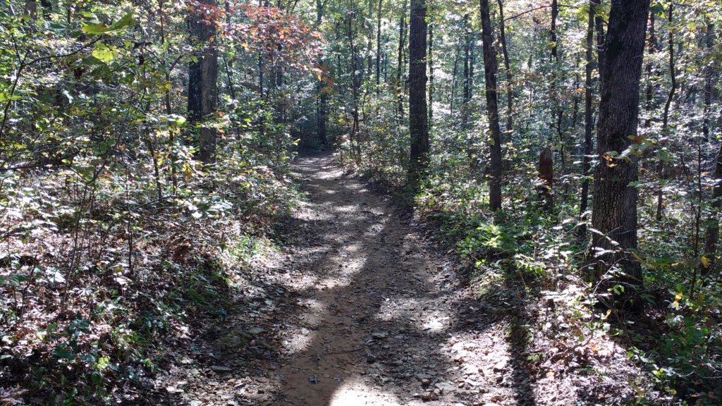 img_20191018_101405329.jpg