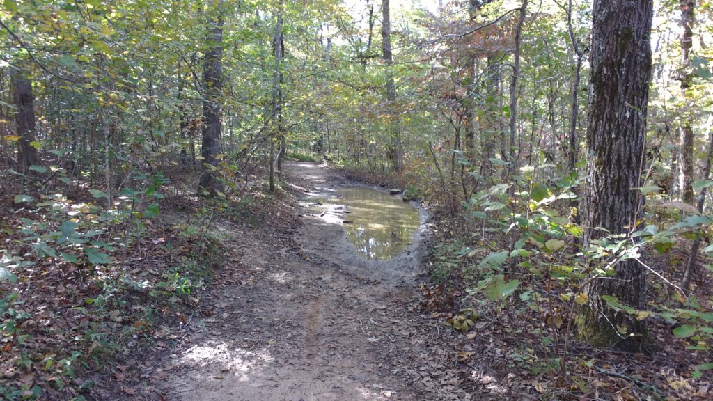 img_20191018_101615039.jpg