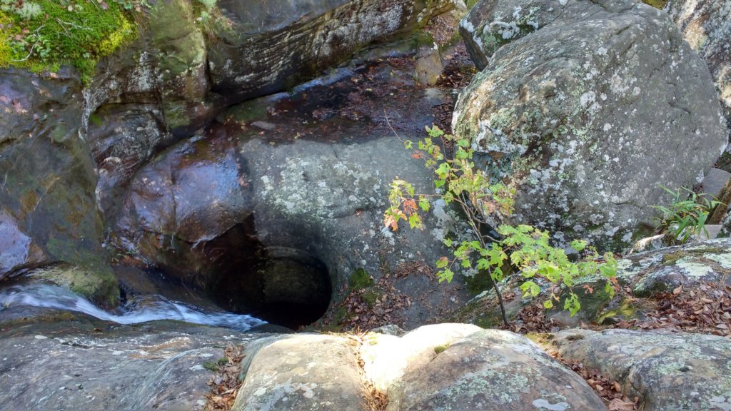 img_20191018_104638847_hdr.jpg