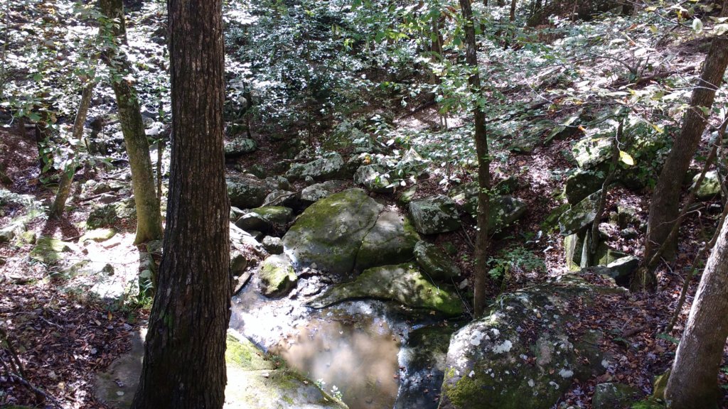 img_20191018_104820566.jpg