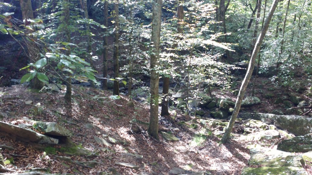 img_20191018_104909595.jpg
