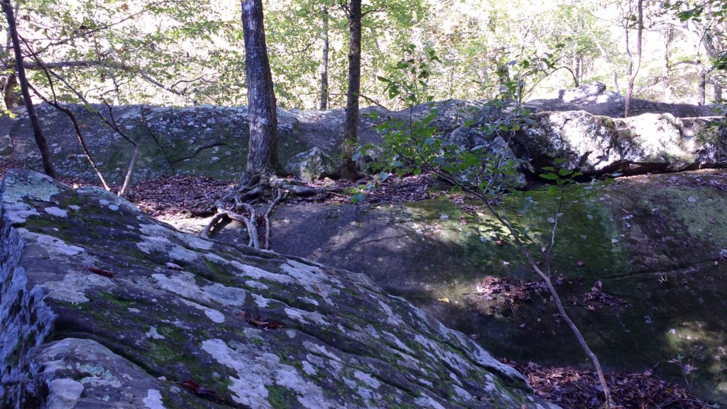 img_20191018_105655752.jpg