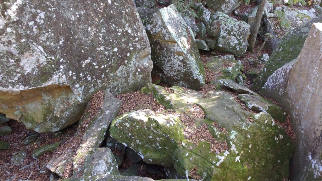 img_20191018_110106243.jpg