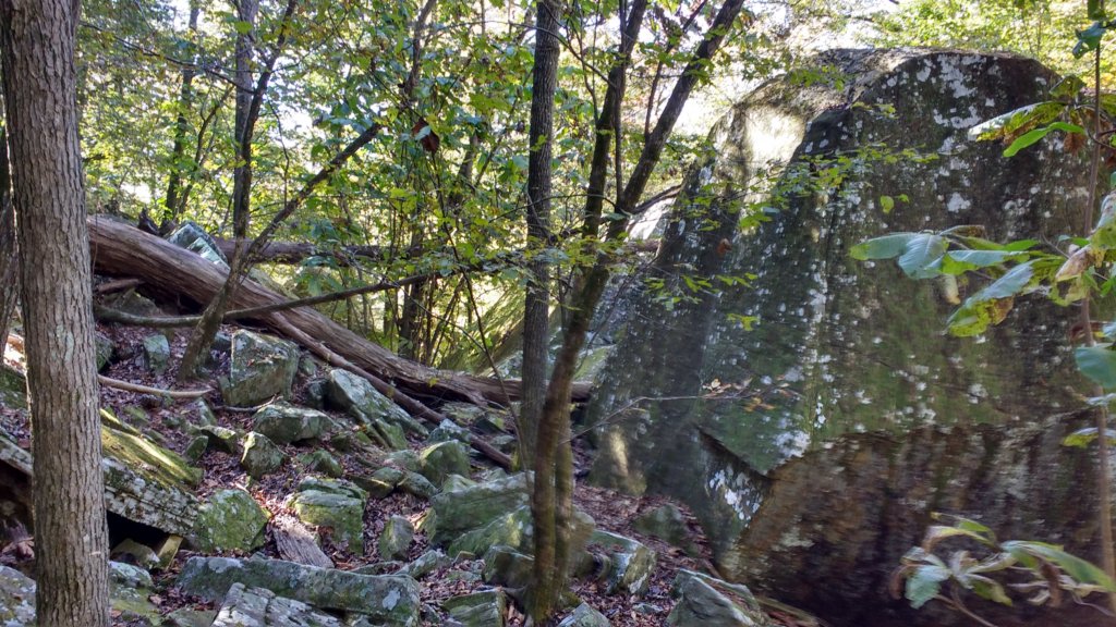 img_20191018_110325066_hdr.jpg