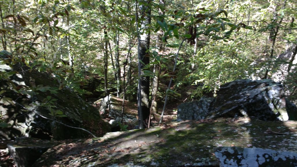 img_20191018_110541669.jpg