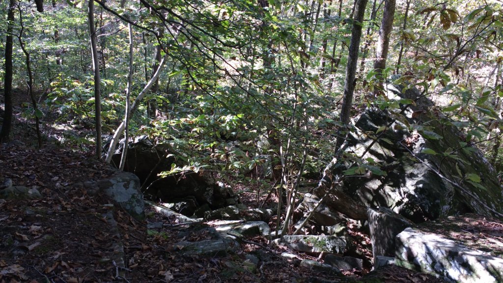 img_20191018_110545039.jpg