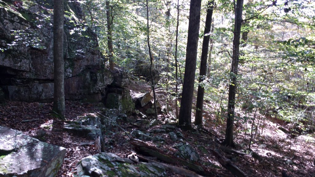 img_20191018_110649000.jpg