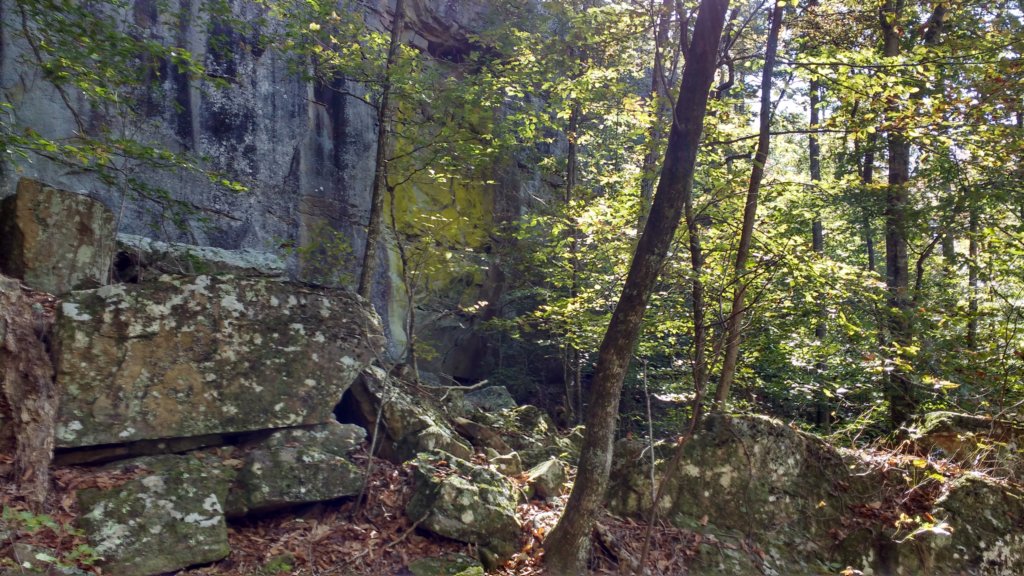 img_20191018_110823954_hdr.jpg