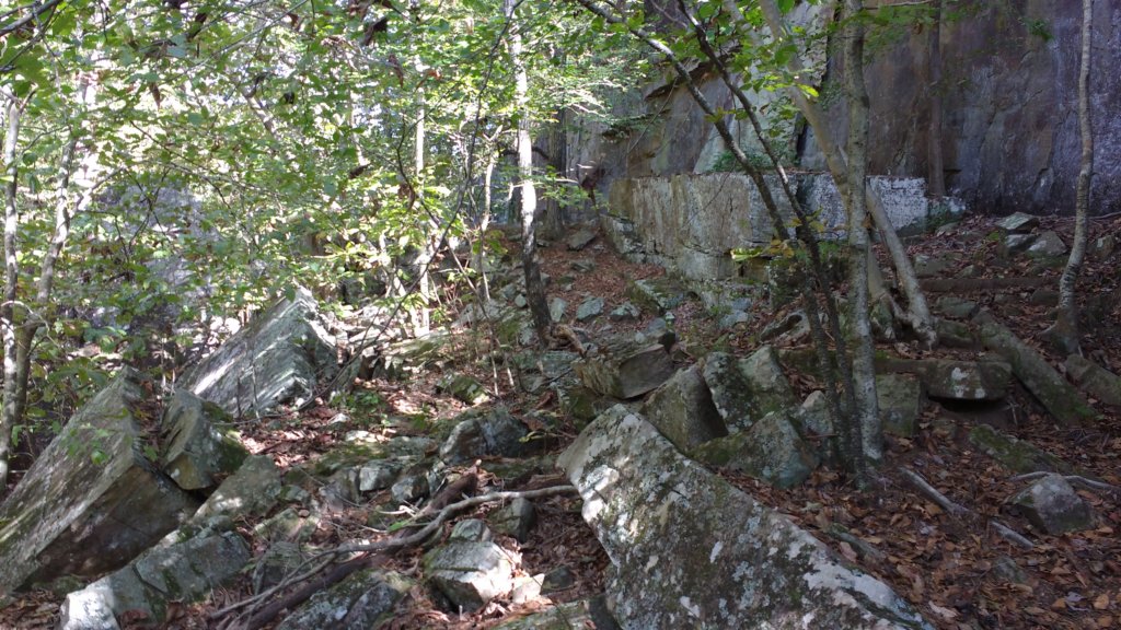 img_20191018_111625538.jpg