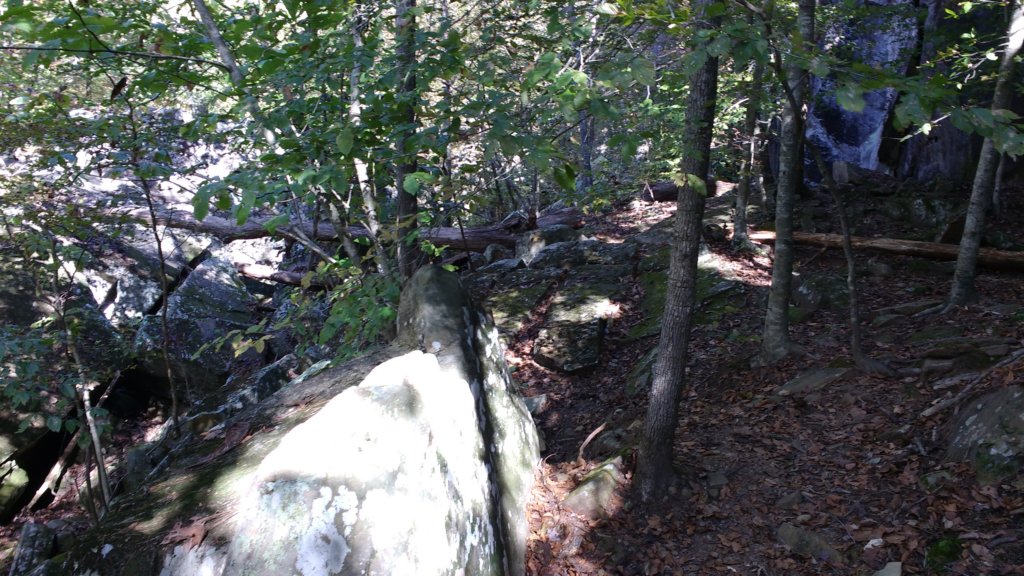 img_20191018_111805126.jpg