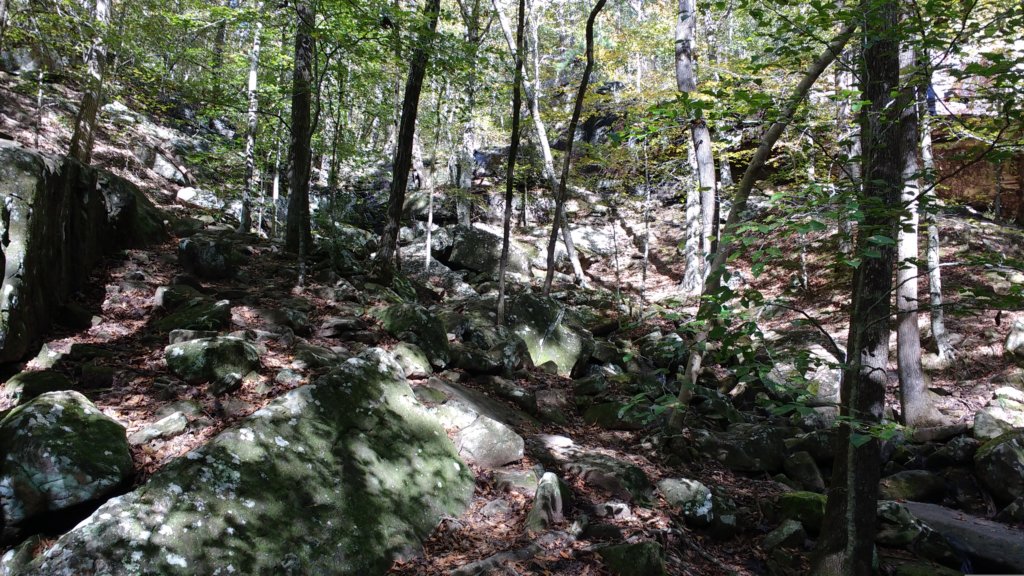 img_20191018_112413242.jpg