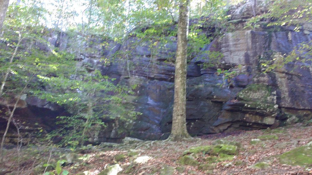 img_20191018_112437553.jpg