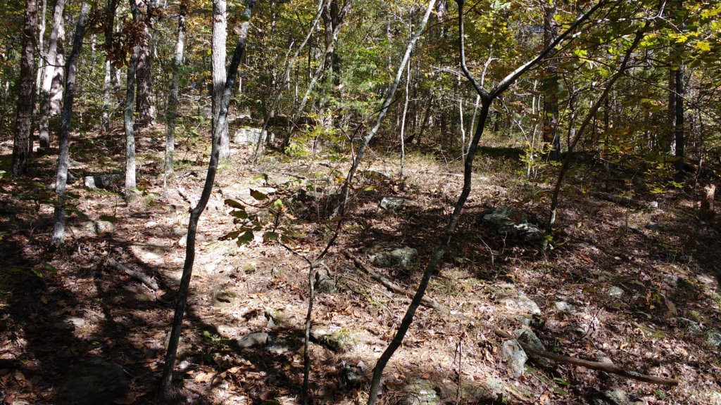 img_20191018_113041885.jpg