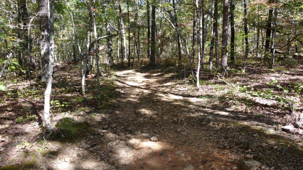 img_20191018_114201734.jpg