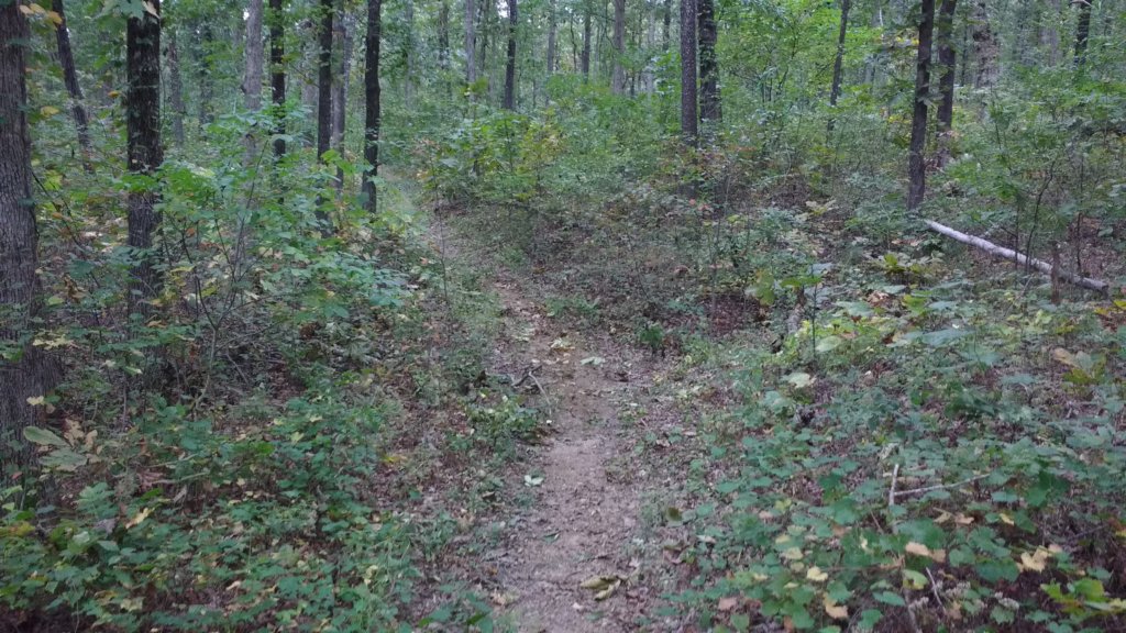 img_20171007_111733722.jpg