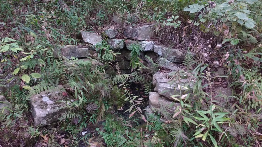 img_20171007_112328115.jpg