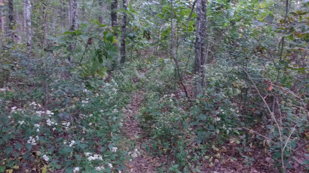 img_20171007_113019886.jpg