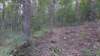 img_20171007_114239469_small.jpg