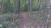img_20171007_114917819_small.jpg