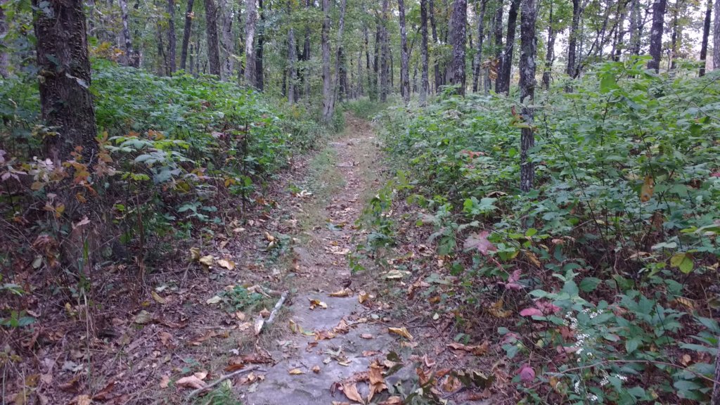 img_20171007_121057691.jpg