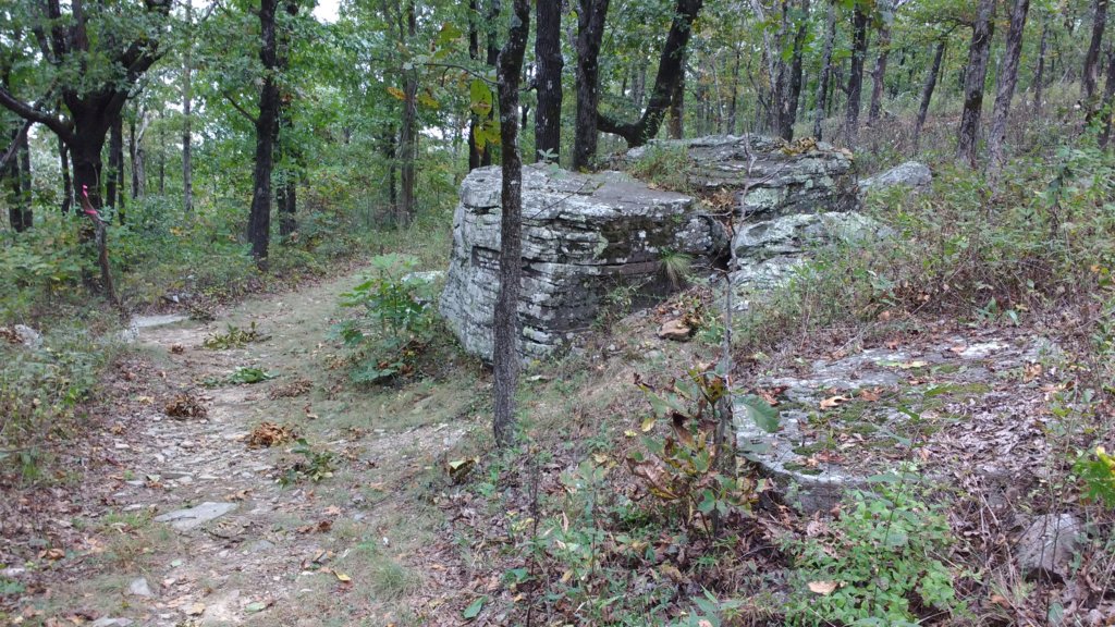 img_20171007_121817185.jpg