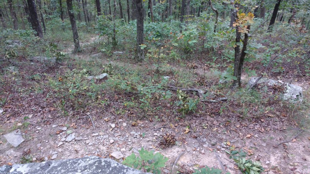 img_20171007_122003240.jpg