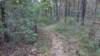 img_20171007_123620444_small.jpg