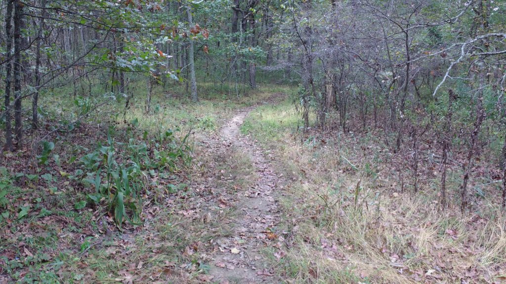 img_20171007_123956365.jpg
