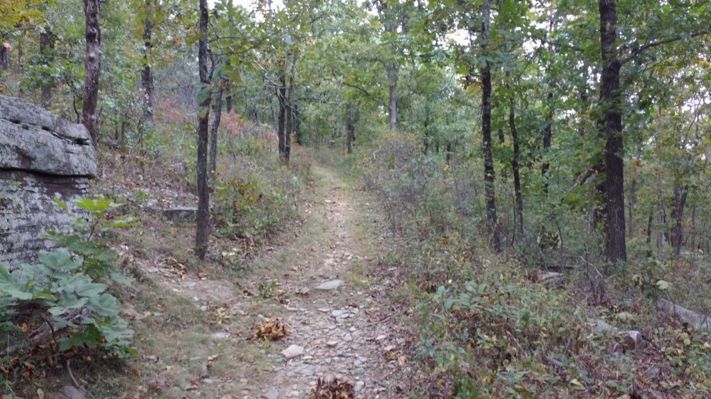 img_20171007_124401624.jpg